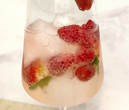 GIN TONIC FRUTOS ROJOS Keto | Hortifrut